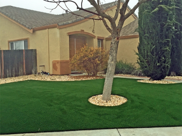 Fake Turf Paradise Park, California Lawn And Landscape, Front Yard Landscaping