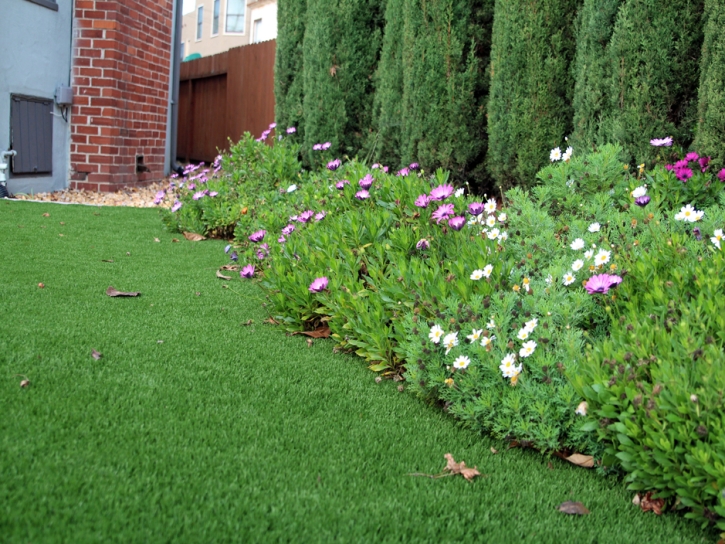 Faux Grass June Lake, California Landscape Ideas, Front Yard Landscape Ideas