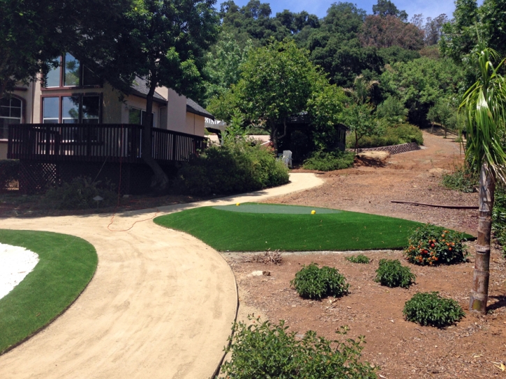 Faux Grass South Dos Palos, California Landscaping, Front Yard Landscape Ideas
