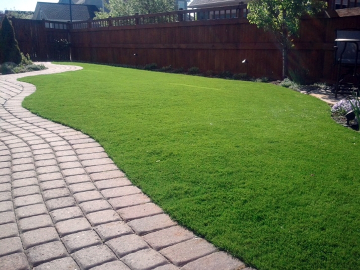 Grass Carpet Carson, California Landscape Rock, Small Backyard Ideas