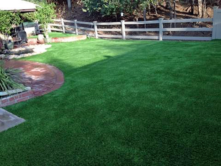 Grass Carpet Fresno, California Drainage, Backyard Designs