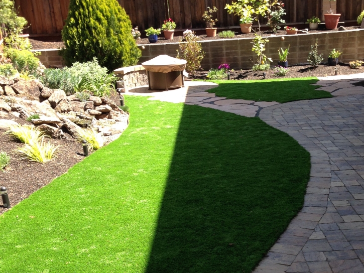 Grass Carpet Manteca, California Landscape Ideas