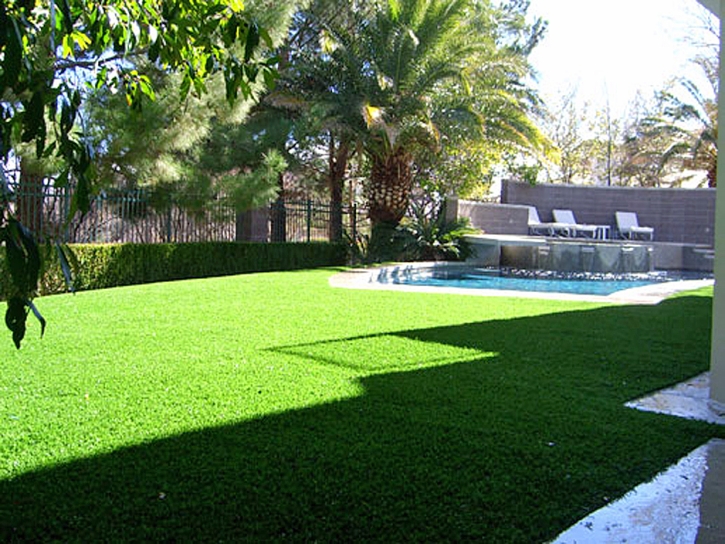 Grass Carpet Twain Harte, California Paver Patio, Backyards