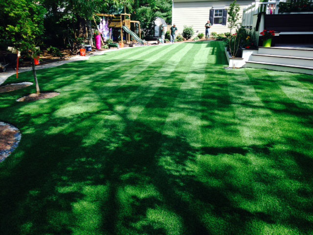 Grass Installation Milpitas, California Backyard Playground, Backyard Landscaping