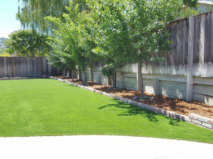 Grass Installation Mountain View, California Landscaping Business, Small Backyard Ideas
