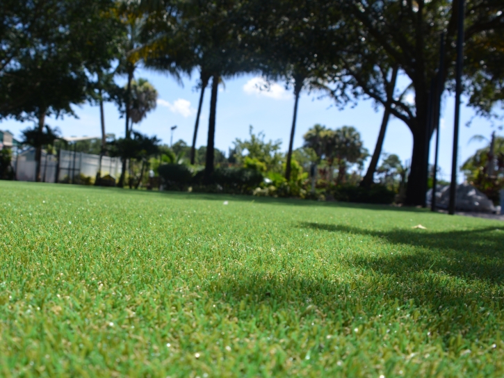 Grass Turf Bonny Doon, California Backyard Playground, Recreational Areas