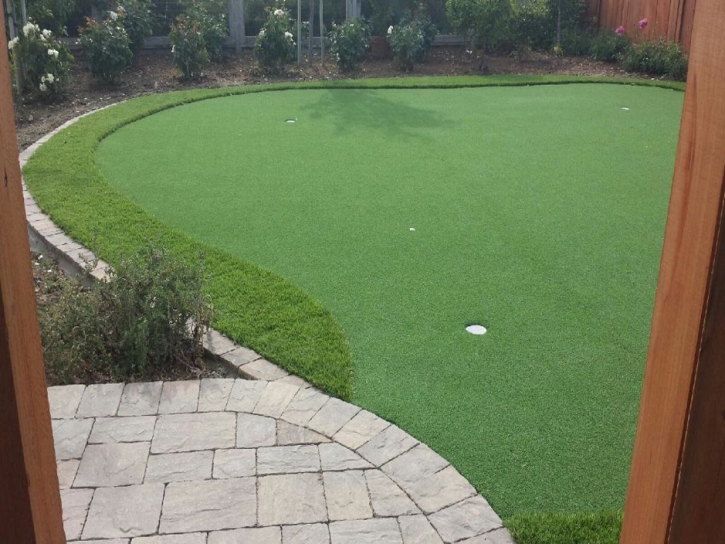 Grass Turf Niland, California Outdoor Putting Green, Backyard Designs