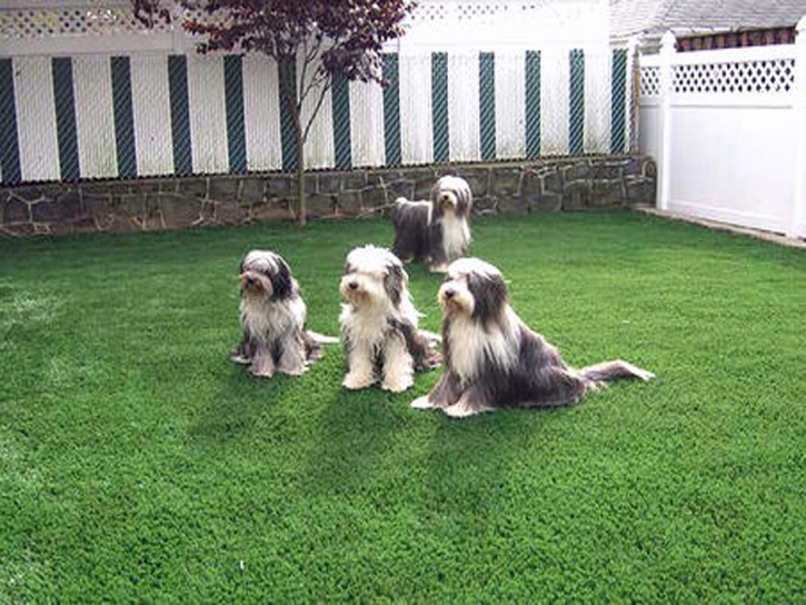 Grass Turf Richgrove, California Lawn And Garden, Backyard