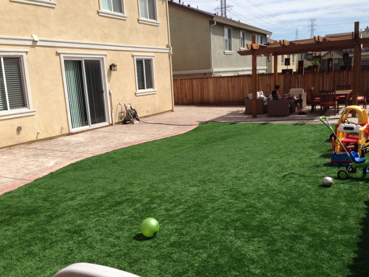 Green Lawn Avery, California Landscaping, Backyard Designs