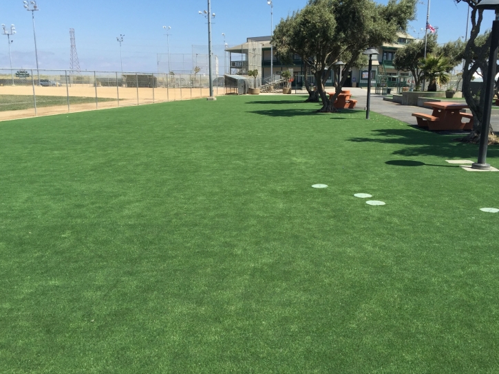 Green Lawn Peters, California Backyard Deck Ideas, Parks