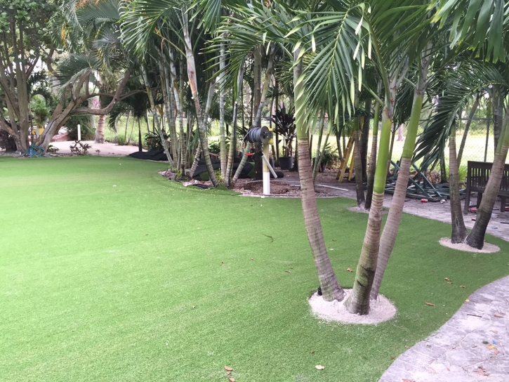 Installing Artificial Grass Alum Rock, California Backyard Deck Ideas, Commercial Landscape