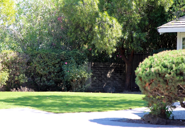 Installing Artificial Grass Buttonwillow, California Dog Running, Front Yard Landscaping