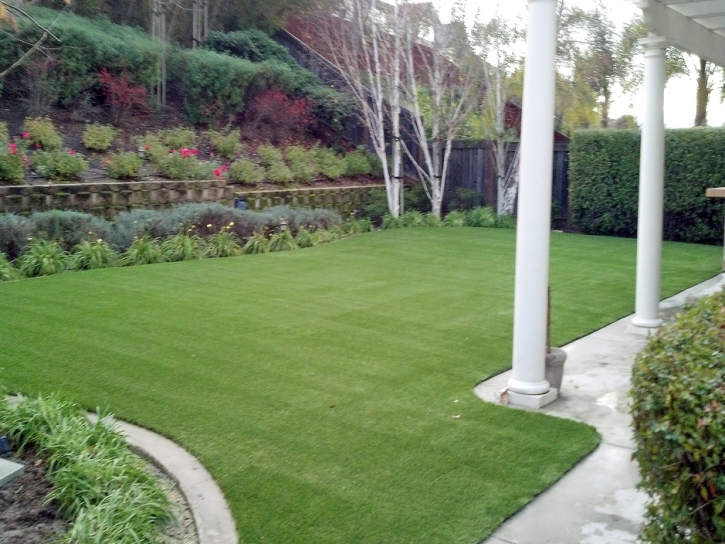 Lawn Services Lake of the Woods, California Artificial Turf For Dogs, Backyard Garden Ideas