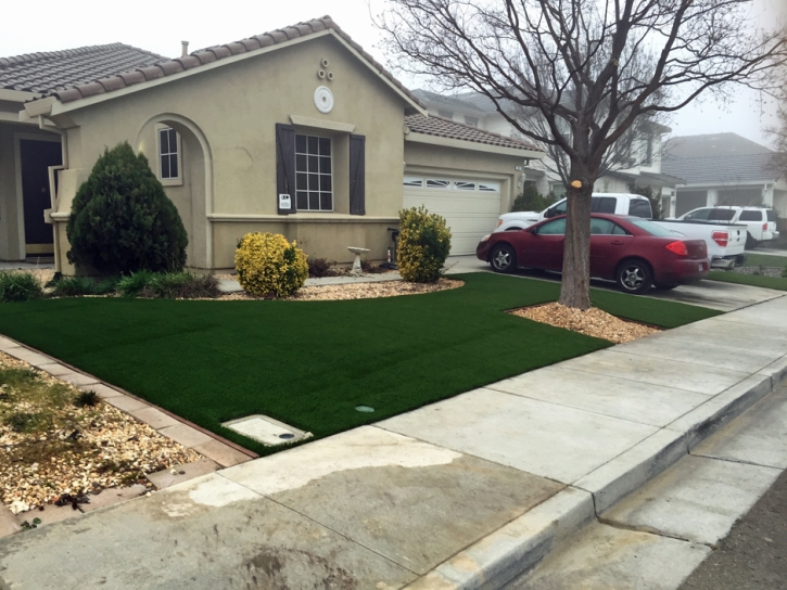 Outdoor Carpet Bridgeport, California Design Ideas, Front Yard Landscaping Ideas