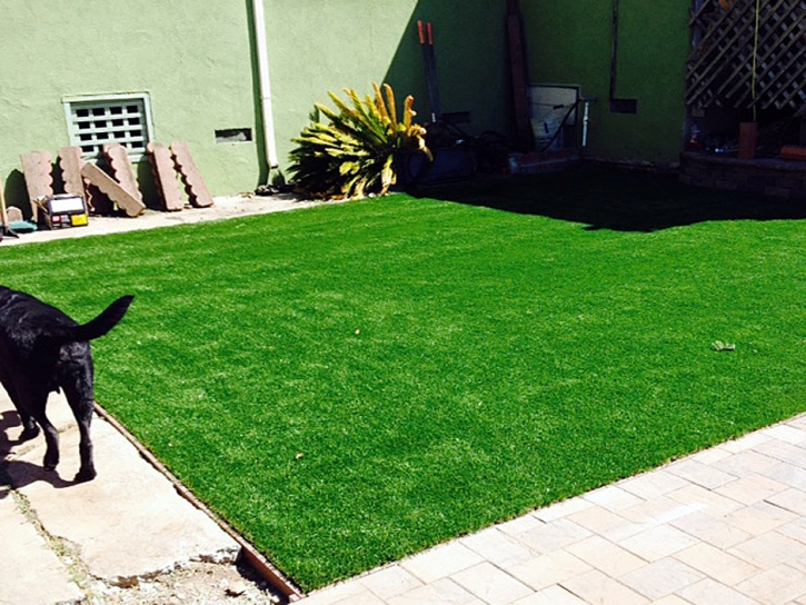 Outdoor Carpet Dustin Acres, California Fake Grass For Dogs, Dog Kennels