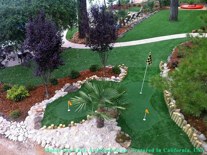 Outdoor Carpet Los Angeles, California Lawns, Backyard Landscape Ideas