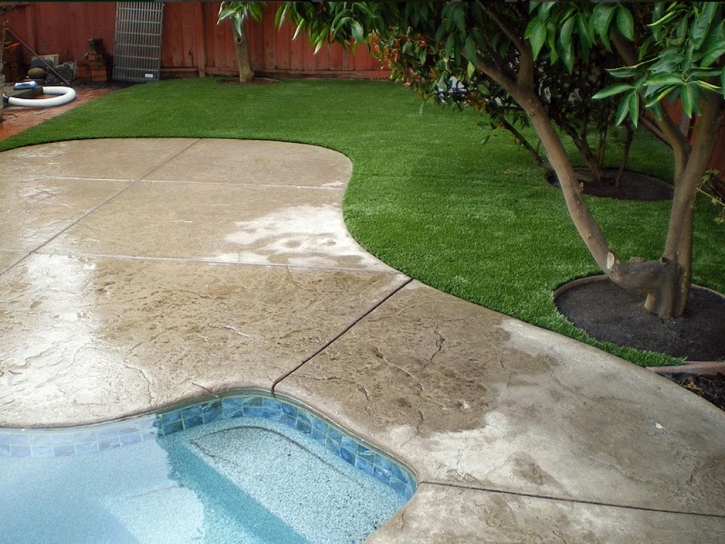 Plastic Grass Azusa, California Landscaping Business, Above Ground Swimming Pool