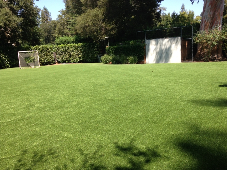 Plastic Grass Lost Hills, California Backyard Sports, Backyard Makeover