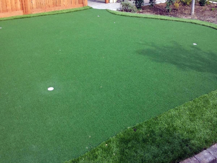 Plastic Grass San Luis Obispo, California Putting Green Flags