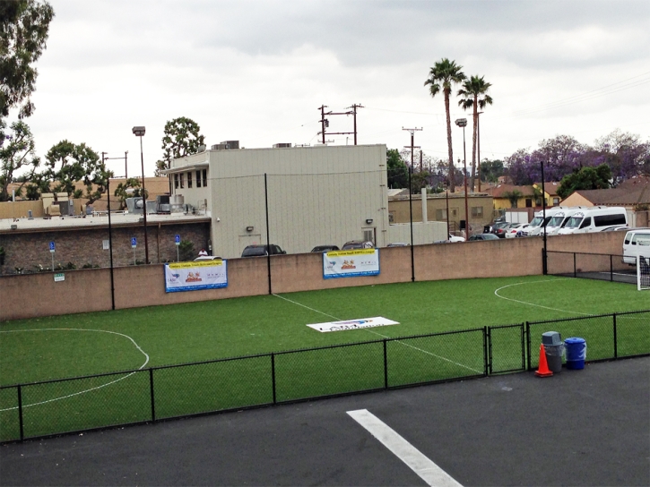 Plastic Grass South Whittier, California Football Field, Commercial Landscape