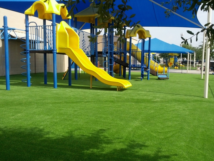 Synthetic Grass Alpaugh, California Landscaping Business, Commercial Landscape