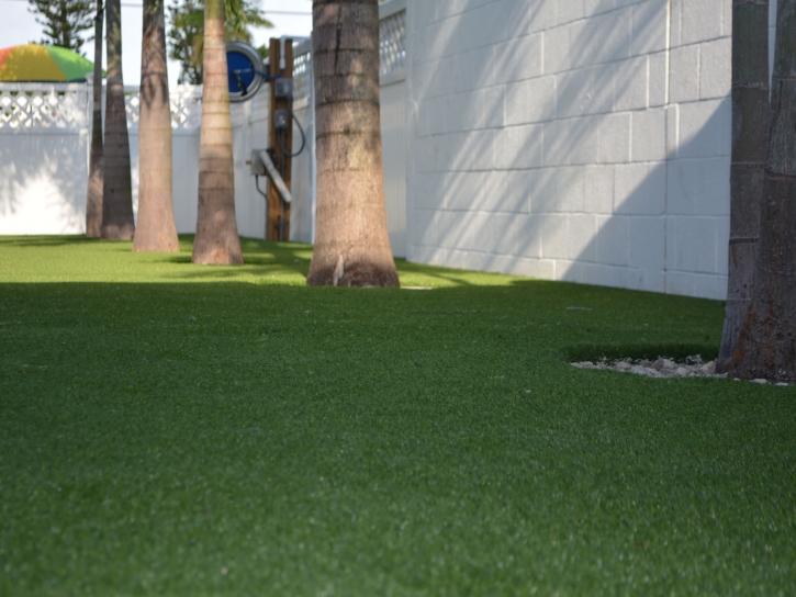 Synthetic Grass Brookdale, California Gardeners, Commercial Landscape