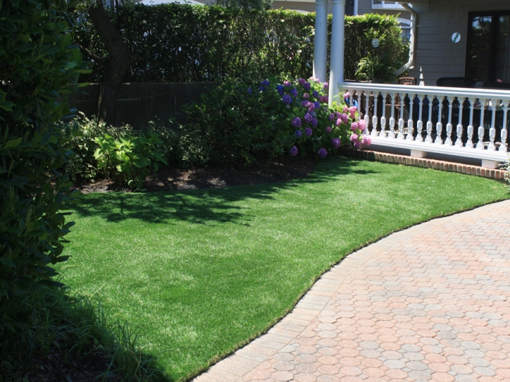 Synthetic Grass Cost East Porterville, California Landscaping Business, Front Yard Landscaping Ideas