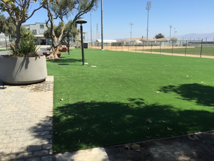 Synthetic Grass Cost Lathrop, California Rooftop, Parks