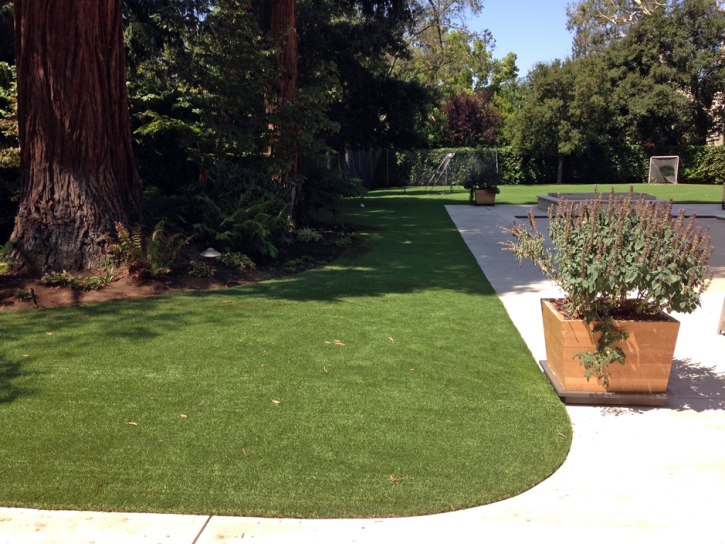 Synthetic Grass Cost Piru, California Garden Ideas, Front Yard Ideas