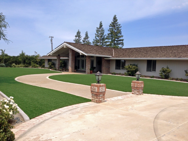 Synthetic Grass Live Oak, California Garden Ideas, Front Yard Ideas