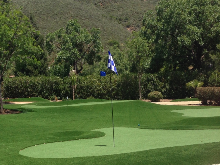 Synthetic Grass Soquel, California Backyard Putting Green