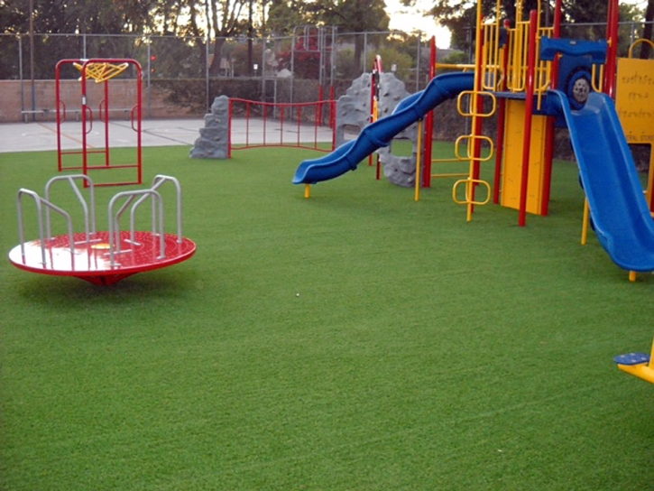 Synthetic Lawn Boulevard, California Backyard Playground, Parks