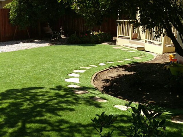 Synthetic Lawn Fort Jones, California City Landscape, Backyard Ideas