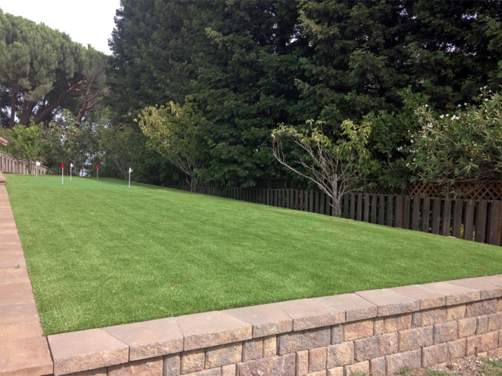 Synthetic Lawn Pine Flat, California Outdoor Putting Green, Backyard Landscaping Ideas