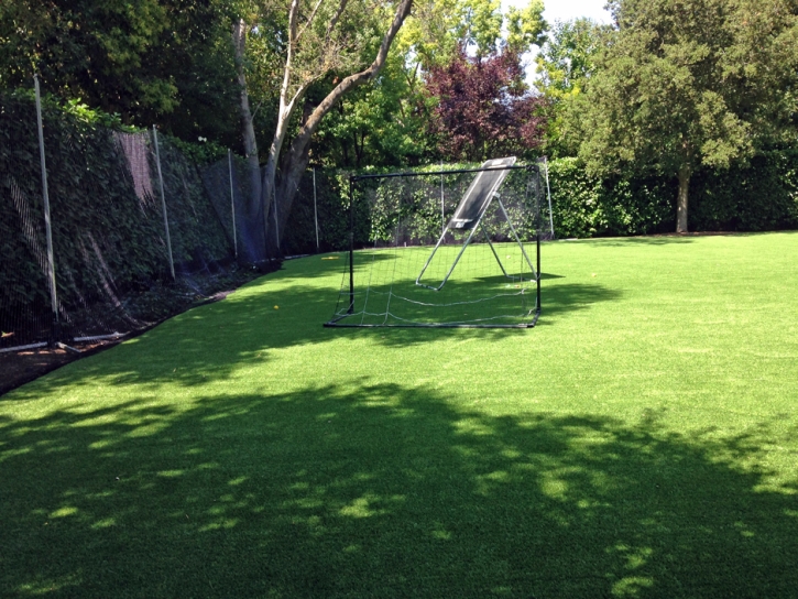 Synthetic Lawn Temecula, California Landscape Design, Backyard Designs