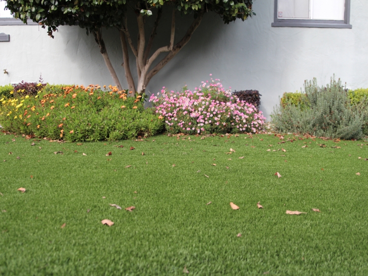 Synthetic Lawn Tuolumne City, California Gardeners, Small Front Yard Landscaping