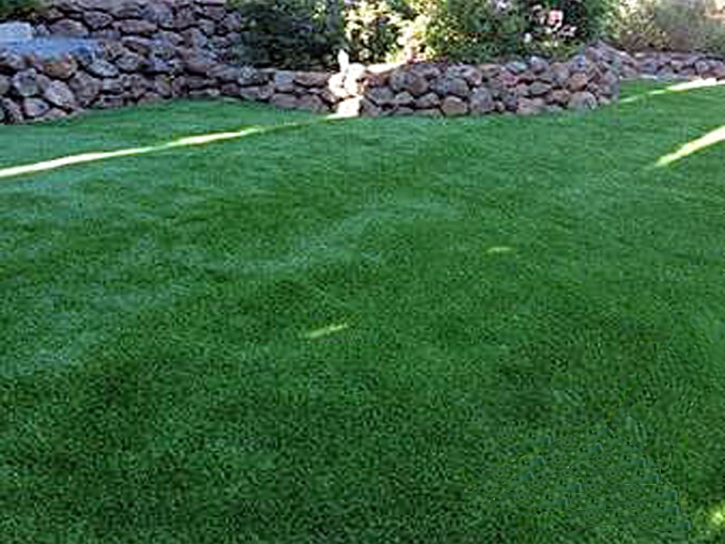 Synthetic Lawn Vista, California Pet Paradise, Backyard Makeover