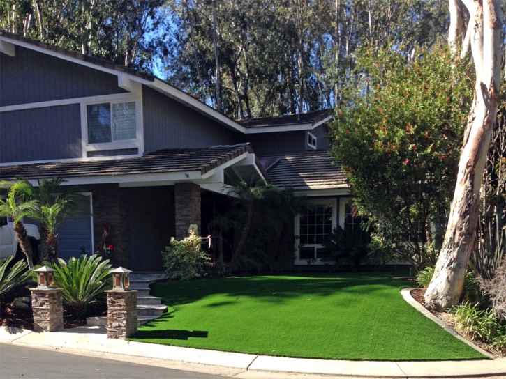 Synthetic Turf Los Banos, California City Landscape, Front Yard Landscaping