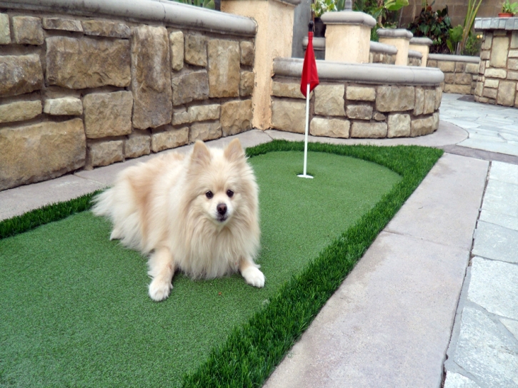 Synthetic Turf Patterson, California Dog Parks, Dogs Park