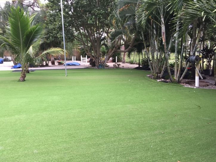 Synthetic Turf Supplier Angels Camp, California Design Ideas, Commercial Landscape