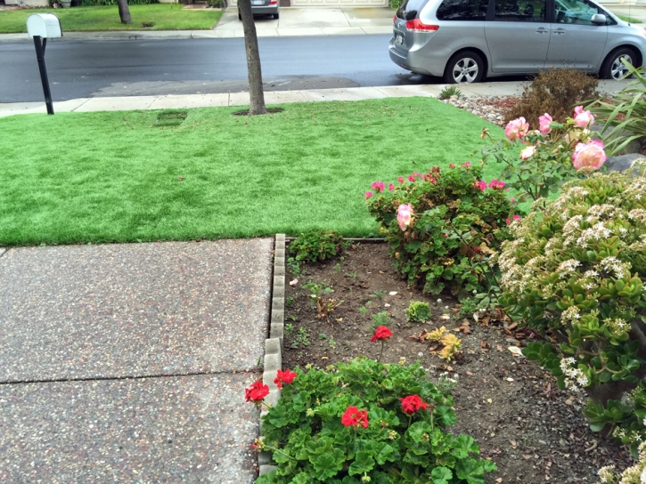 Synthetic Turf Supplier Bonadelle Ranchos-Madera Ranchos, California Grass For Dogs, Front Yard