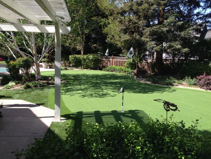 Synthetic Turf Supplier Cambrian Park, California Backyard Playground