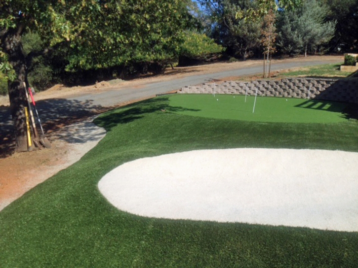 Synthetic Turf Supplier Hawthorne, California Landscape Photos, Front Yard Landscaping Ideas