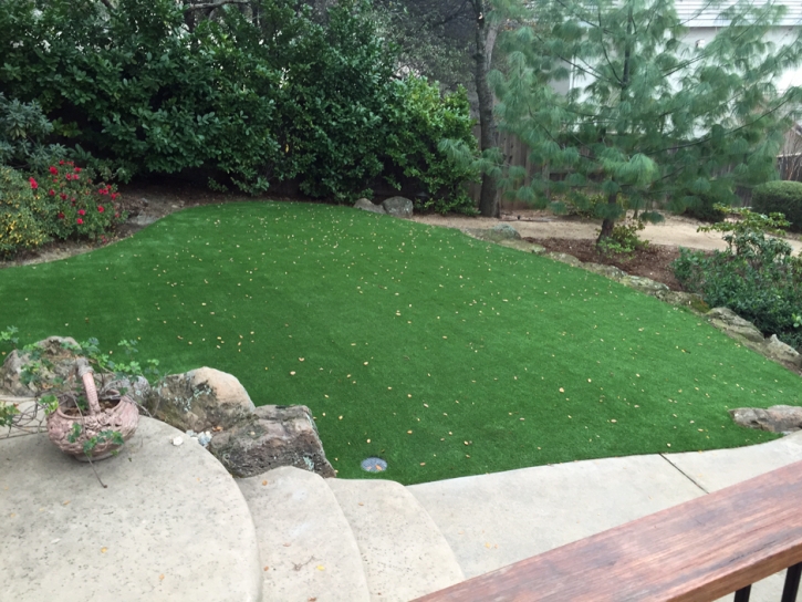 Turf Grass Soulsbyville, California Design Ideas, Beautiful Backyards