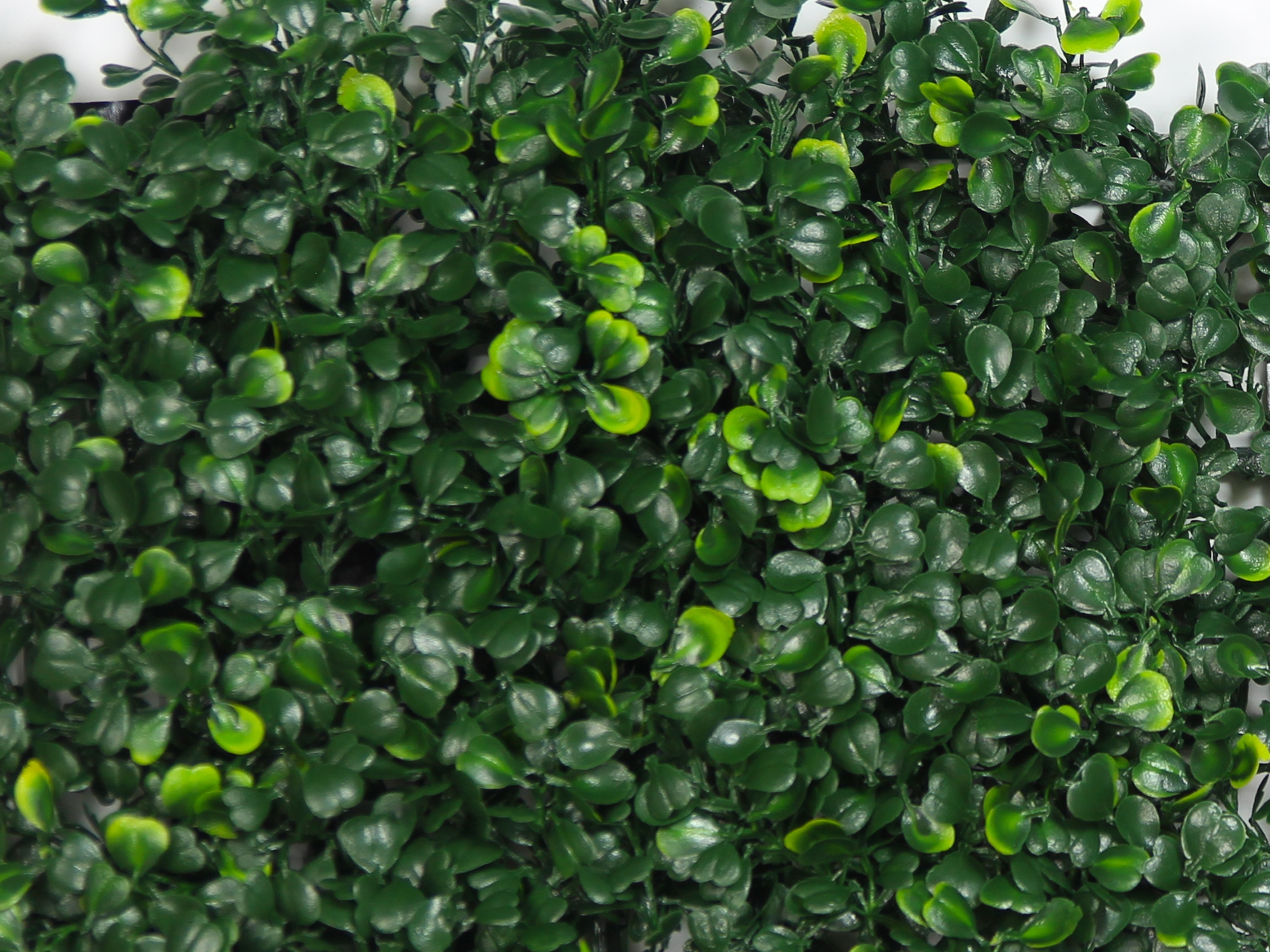 Hawthorn Dark Hedge Artificial Ivy Panels Dark green foliage small leaf